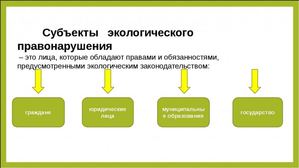 Схема состав экологического правонарушения